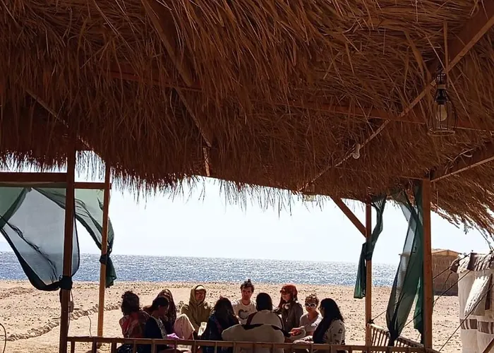 Orman Evi Eden Camp Abu Galum Dahab