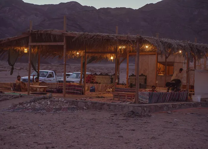 Eden Camp Abu Galum Orman Evi *
