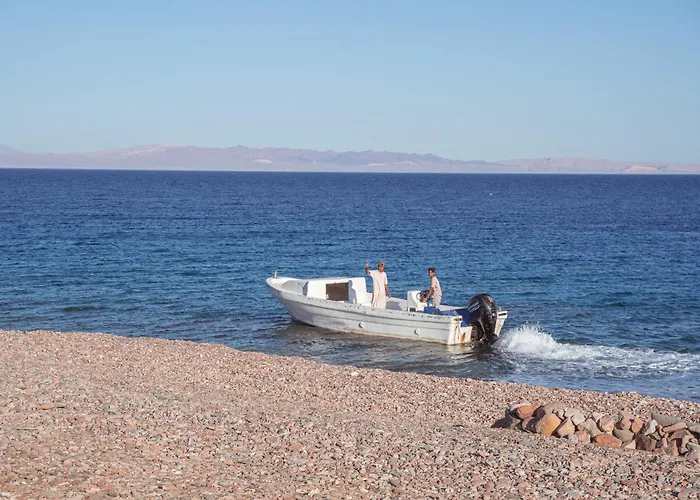 Eden Camp Abu Galum